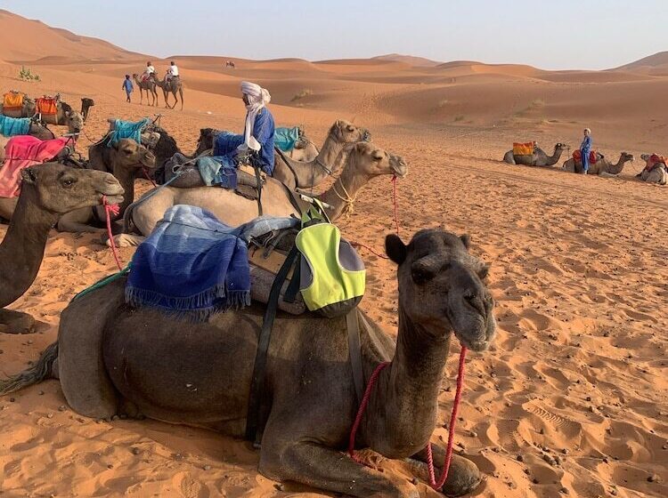 膳宿费 Maison Salwa