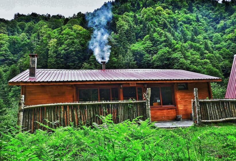 בית מלון כפרי Kotit Ayder Bungalov & Restaurant