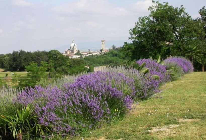 田舎風ホテル Arriga Alta