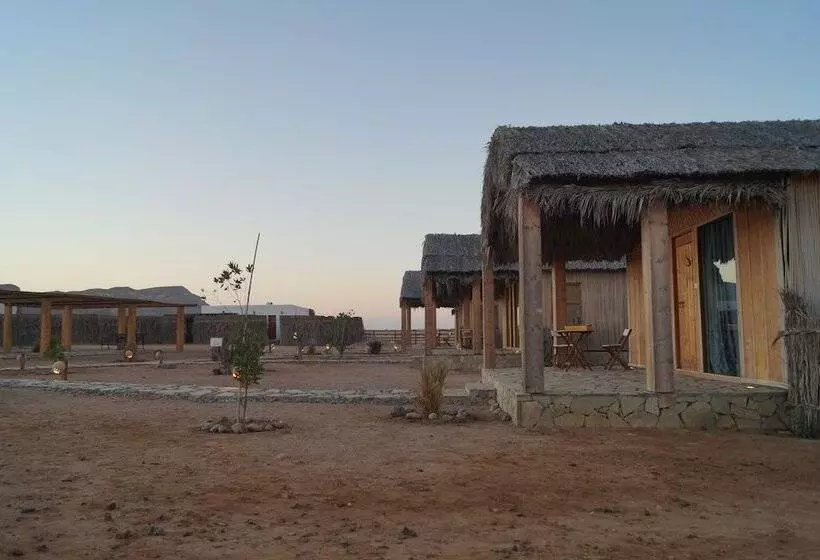 هتل Sama Ras Al Jinz Resort