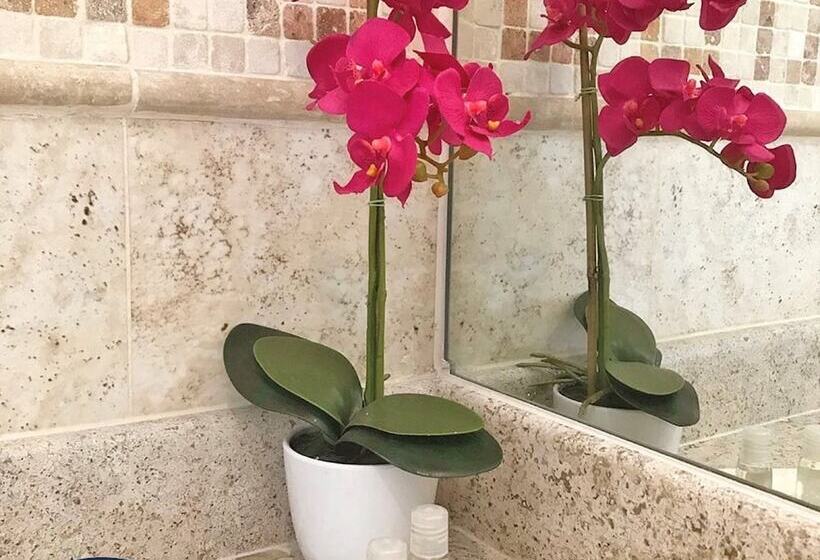 هتل Sand S San Luis Potosí