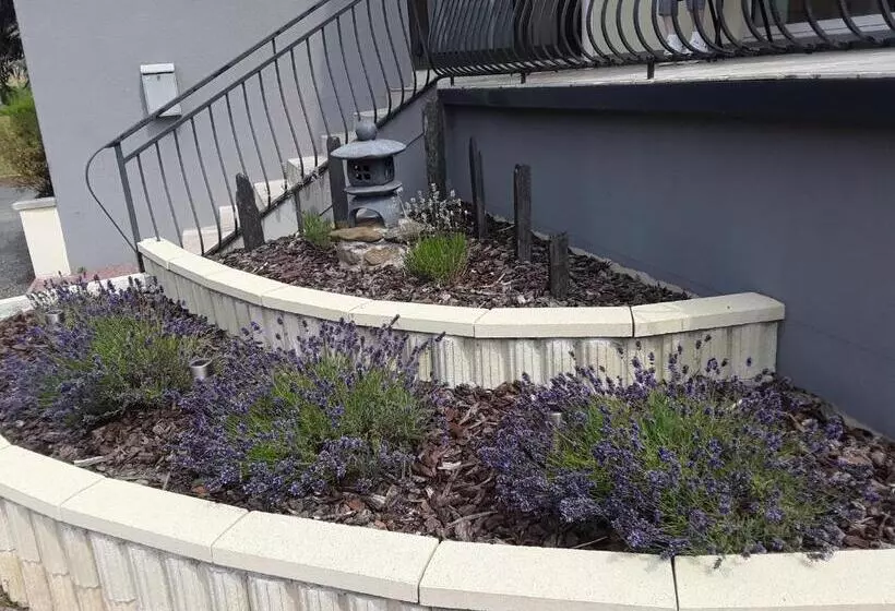 ペンション L Amarante Chambres D Hôtes Villefranche De Panat