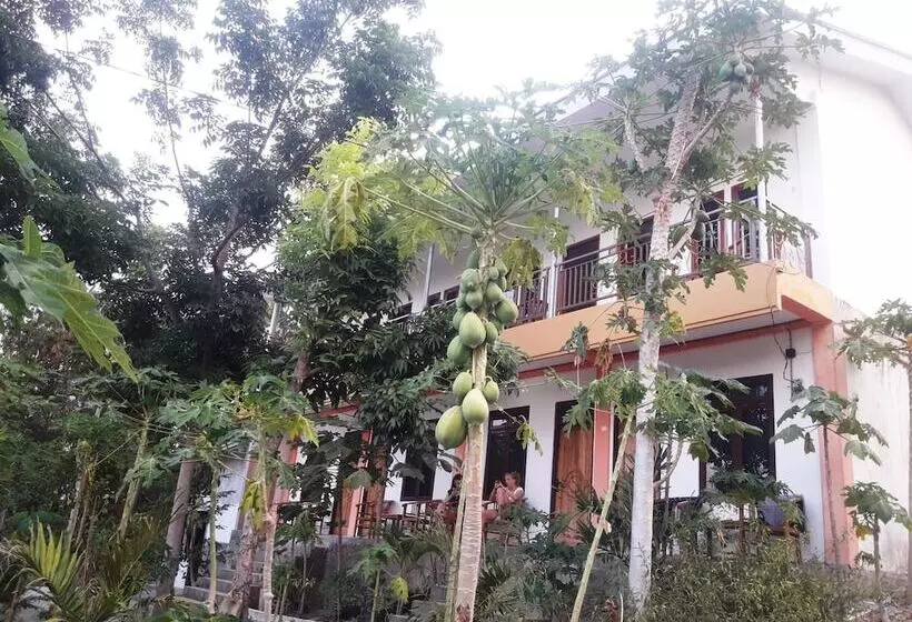 The Teuz B&b
