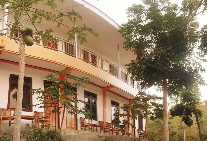 The Teuz B&b