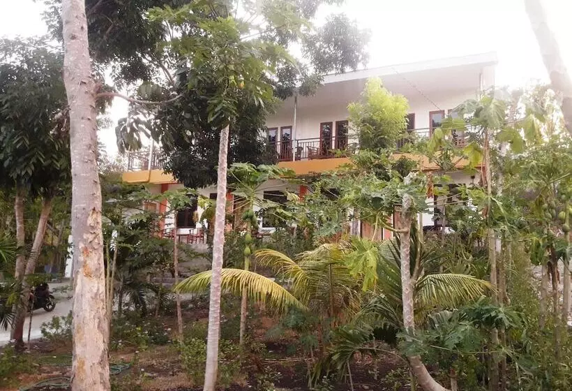 The Teuz B&b