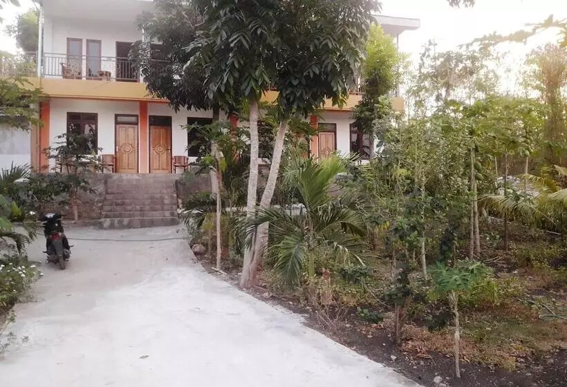 The Teuz B&b