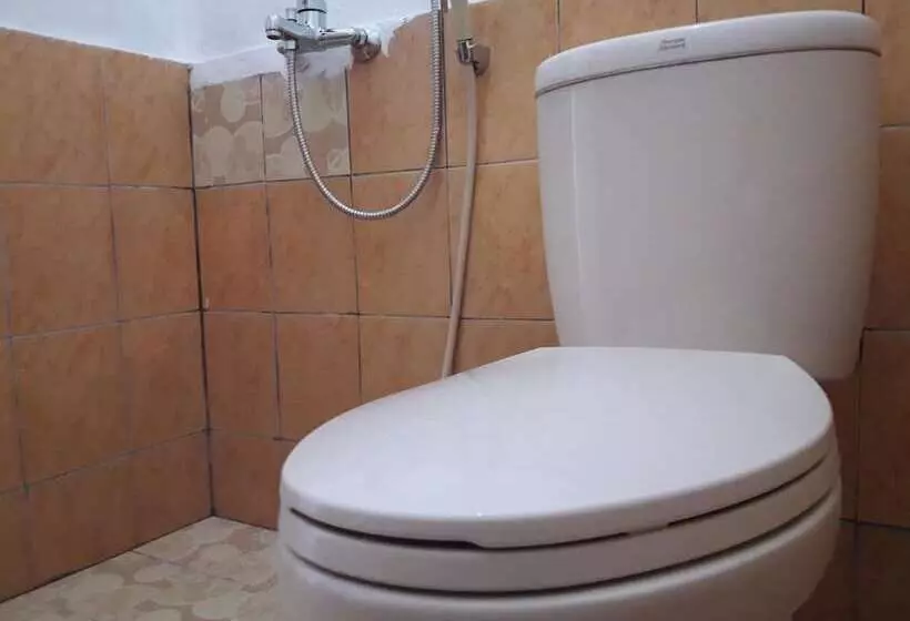 The Teuz B&b