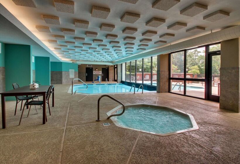 هتل Heritage Inn & Suites The Woodlands, Trademark By Wyndham