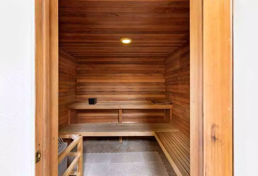 酒店 Econo Lodge Socorro