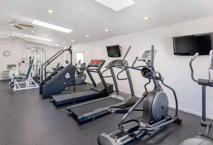 酒店 Econo Lodge Socorro