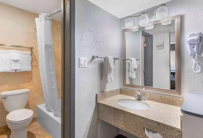 酒店 Econo Lodge Socorro