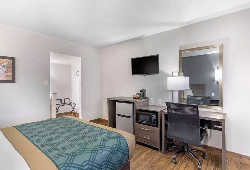 酒店 Econo Lodge Socorro