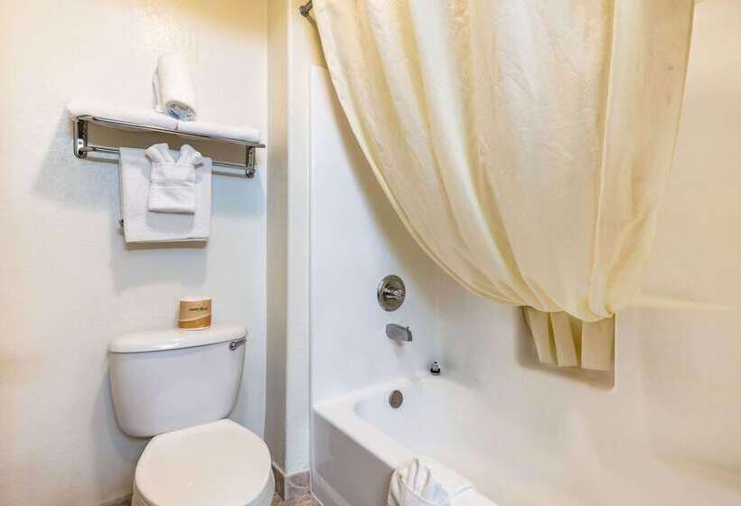 Отель Econo Lodge