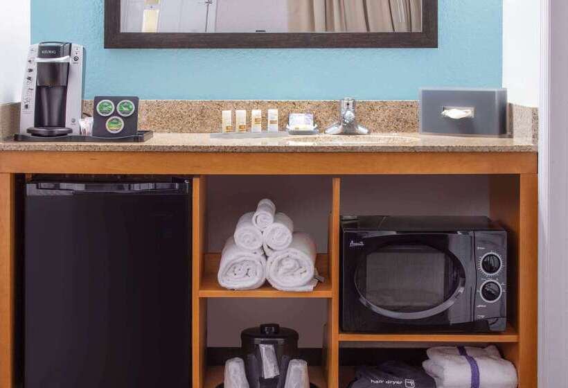 בית מלון כפרי La Quinta Inn By Wyndham Cocoa Beachport Canaveral