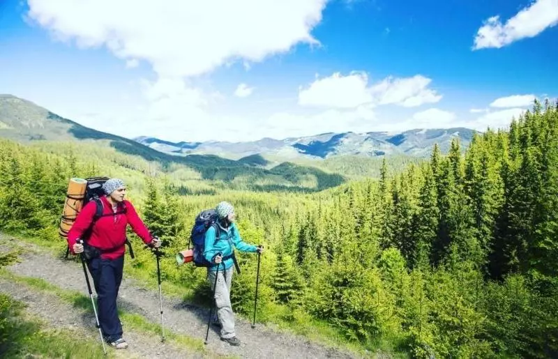 モーテル The Yosemite Inn