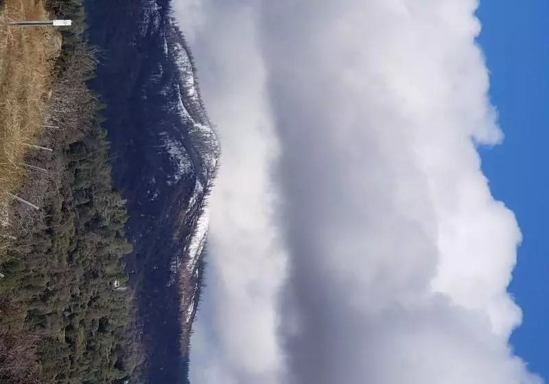 モーテル The Yosemite Inn