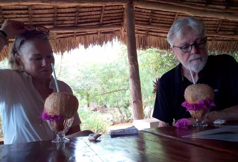 تختخواب و صبحانه Chole Foxes Lodge