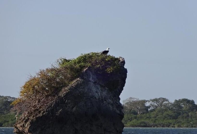 تختخواب و صبحانه Chole Foxes Lodge