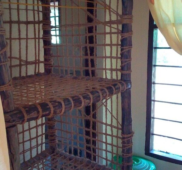 تختخواب و صبحانه Chole Foxes Lodge