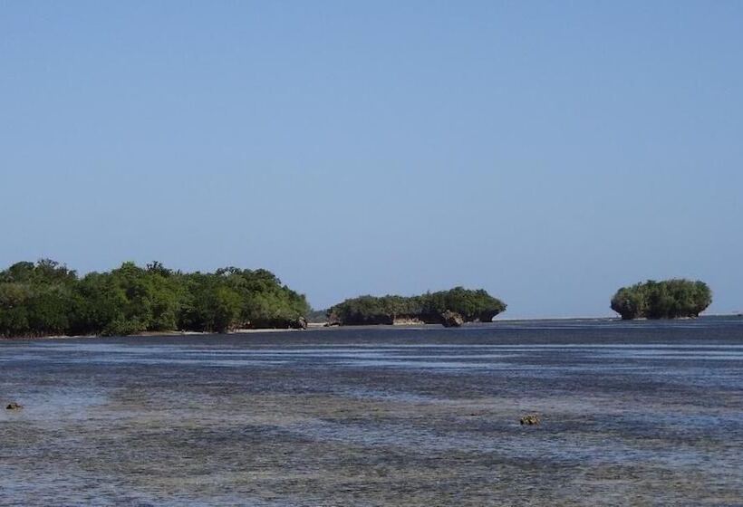 تختخواب و صبحانه Chole Foxes Lodge