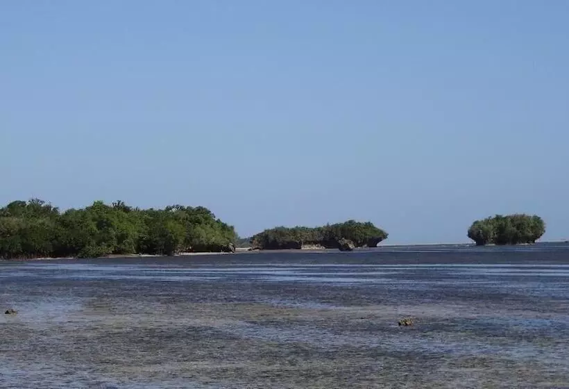 تختخواب و صبحانه Chole Foxes Lodge