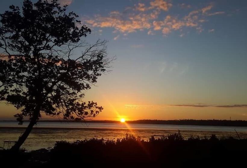 تختخواب و صبحانه Chole Foxes Lodge