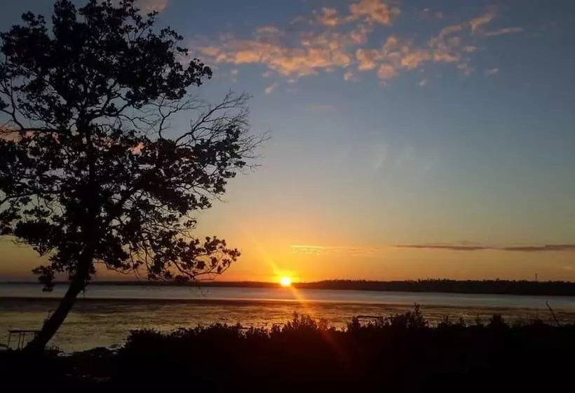 تختخواب و صبحانه Chole Foxes Lodge