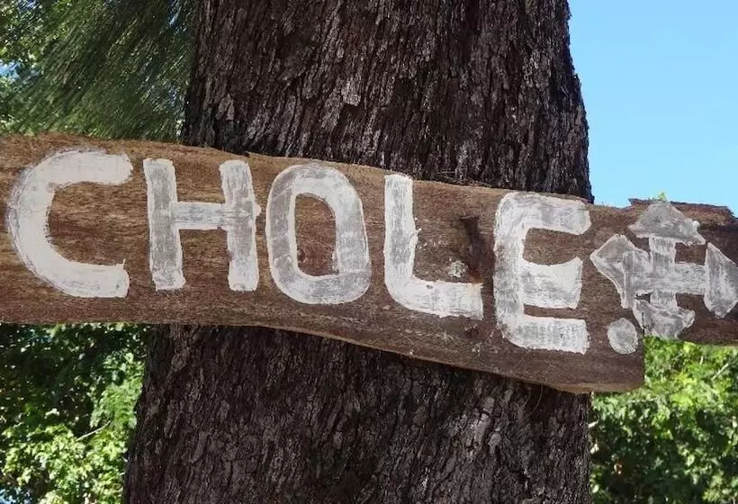 تختخواب و صبحانه Chole Foxes Lodge