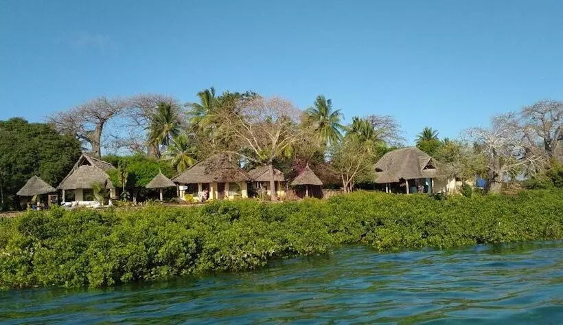 تختخواب و صبحانه Chole Foxes Lodge