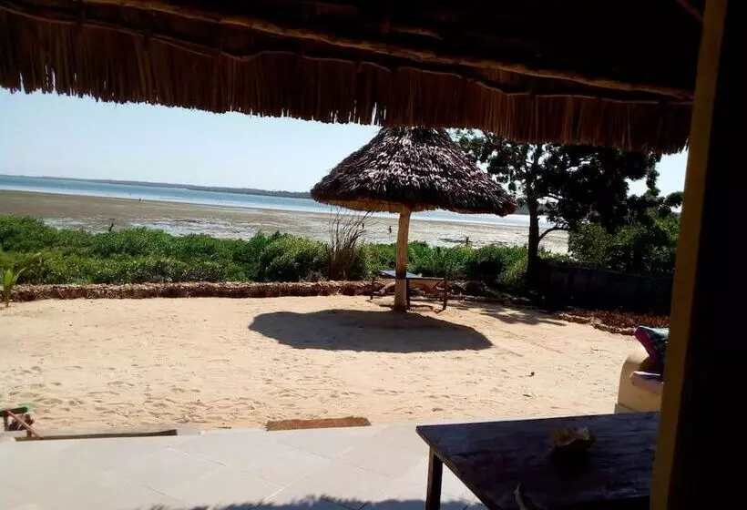 تختخواب و صبحانه Chole Foxes Lodge