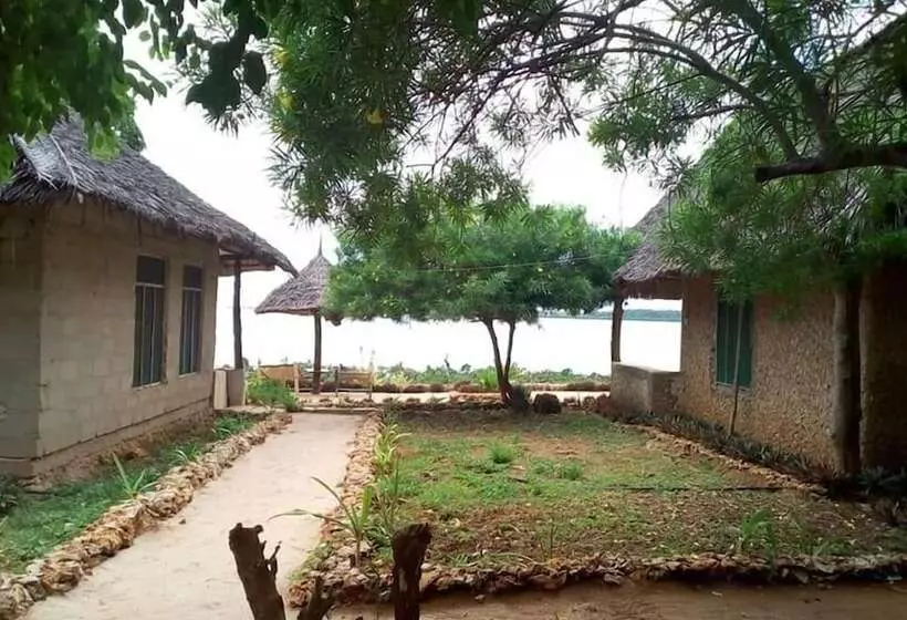 تختخواب و صبحانه Chole Foxes Lodge