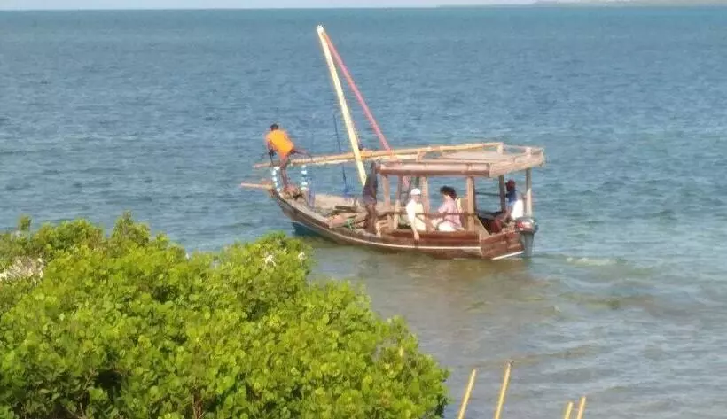 تختخواب و صبحانه Chole Foxes Lodge