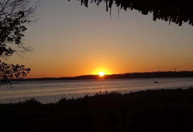 تختخواب و صبحانه Chole Foxes Lodge