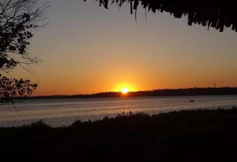 تختخواب و صبحانه Chole Foxes Lodge