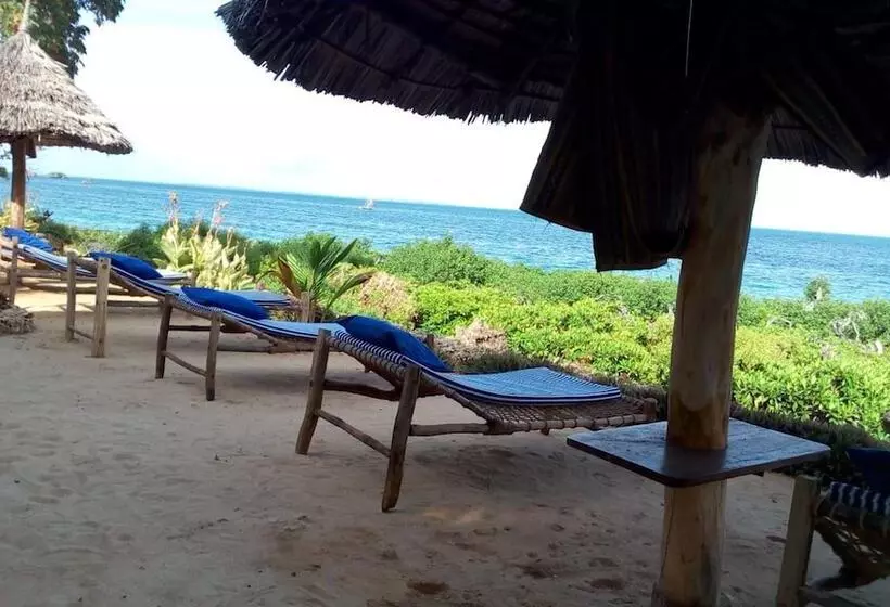 تختخواب و صبحانه Chole Foxes Lodge