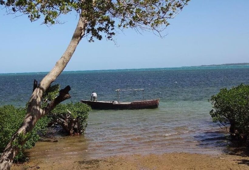 تختخواب و صبحانه Chole Foxes Lodge