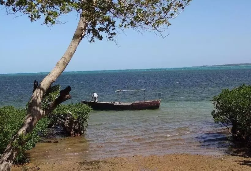 تختخواب و صبحانه Chole Foxes Lodge