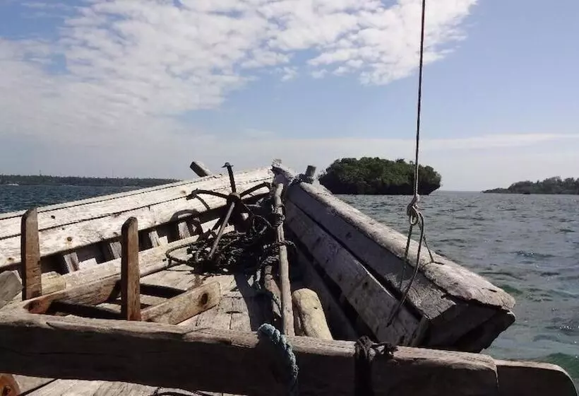 تختخواب و صبحانه Chole Foxes Lodge