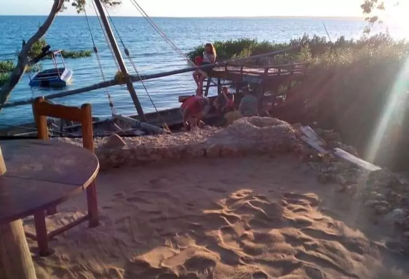 تختخواب و صبحانه Chole Foxes Lodge