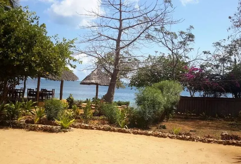 تختخواب و صبحانه Chole Foxes Lodge