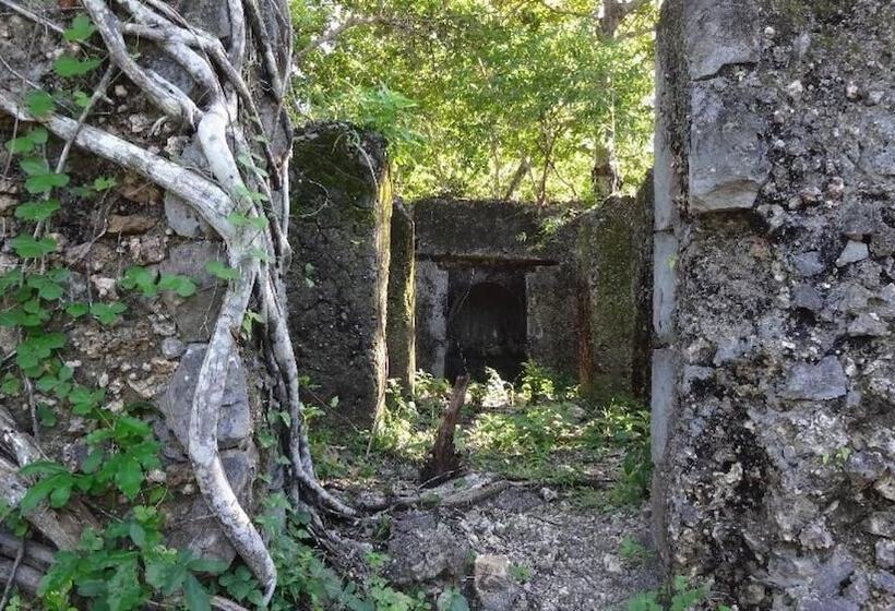 تختخواب و صبحانه Chole Foxes Lodge