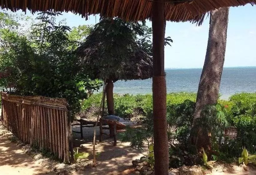 تختخواب و صبحانه Chole Foxes Lodge