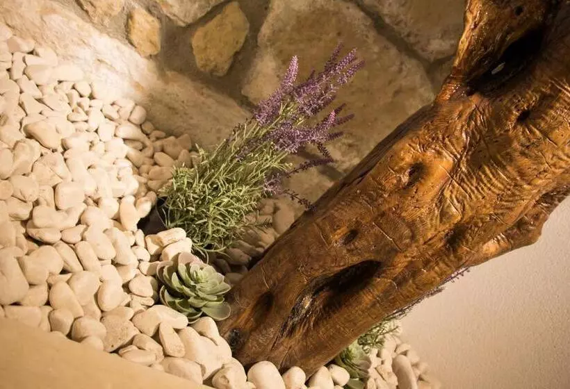 تختخواب و صبحانه La Casa Di Pinocchio