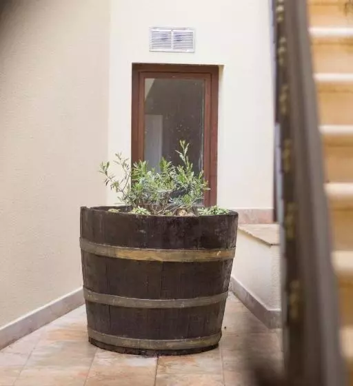 تختخواب و صبحانه La Casa Di Pinocchio