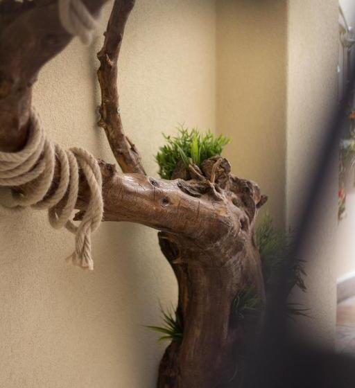 צימר La Casa Di Pinocchio