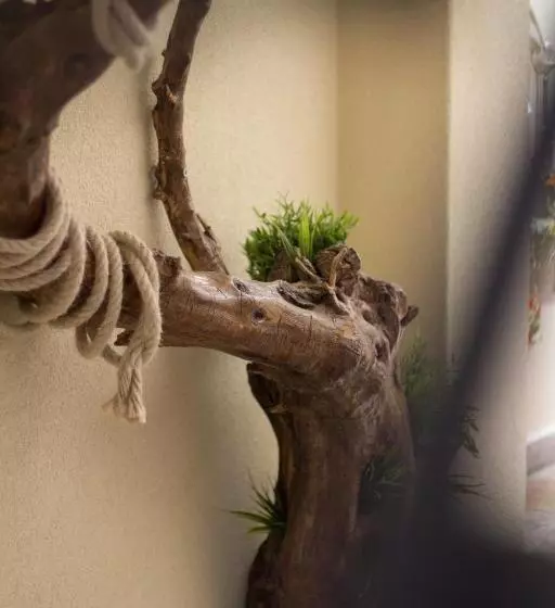 تختخواب و صبحانه La Casa Di Pinocchio