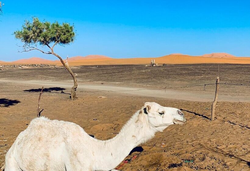 펜션 Riad Maison Adrar Merzouga