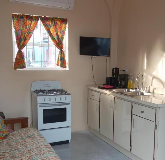 هتل Barefoot Beach Belize