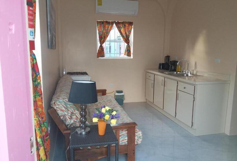 هتل Barefoot Beach Belize