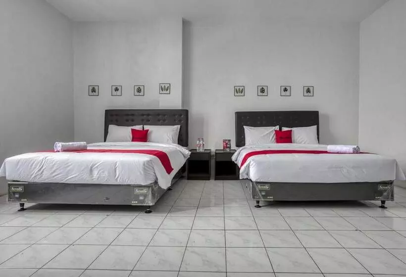 ホテル Reddoorz Plus Near Jakarta Kota Station